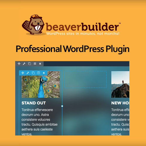 Beaver Builder Pro v2.8.0.7 - WordPress Page Builder