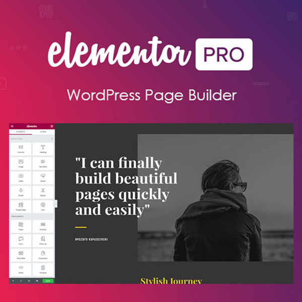 Elementor Pro v3.20.2 - WordPress Page Builder